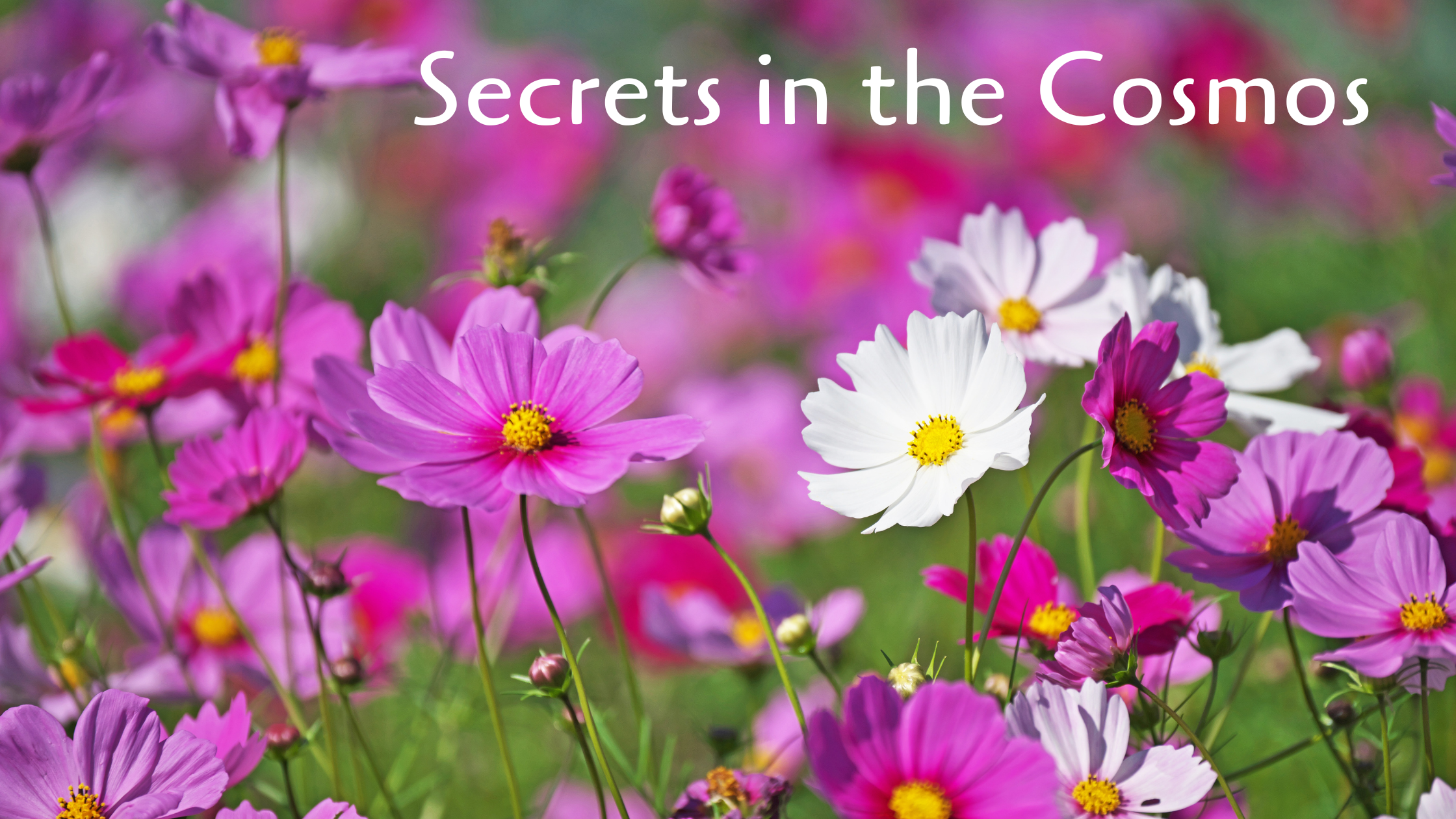 Secrets in the cosmos