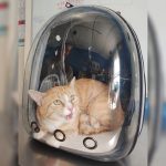 Thando is his SpacePack