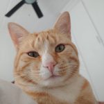 Up Close and Personal Wake-ups